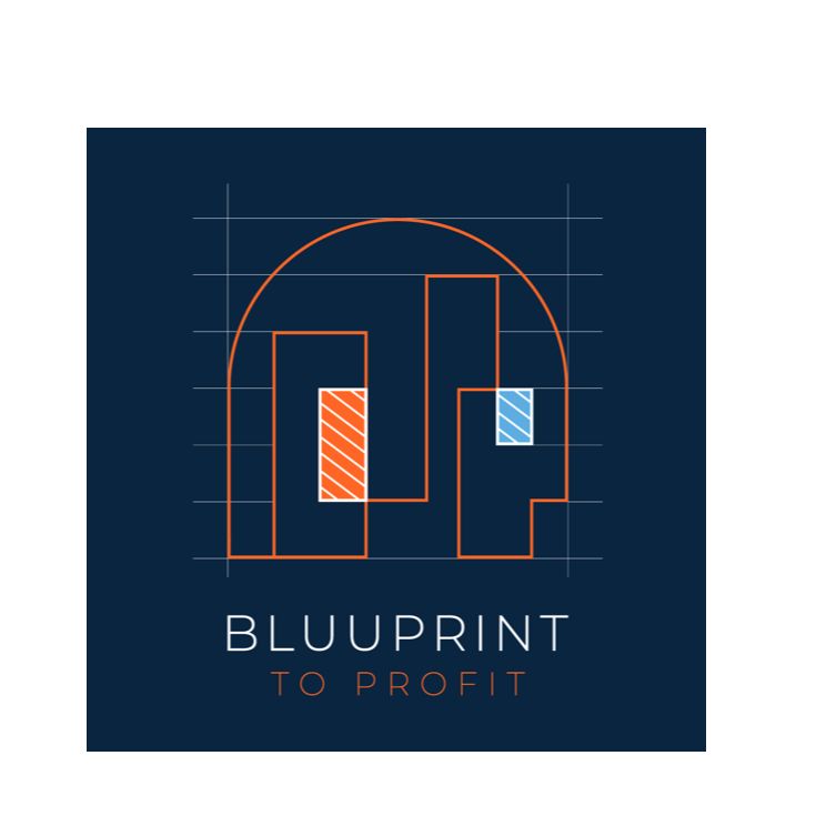 BluuPrint to Profit